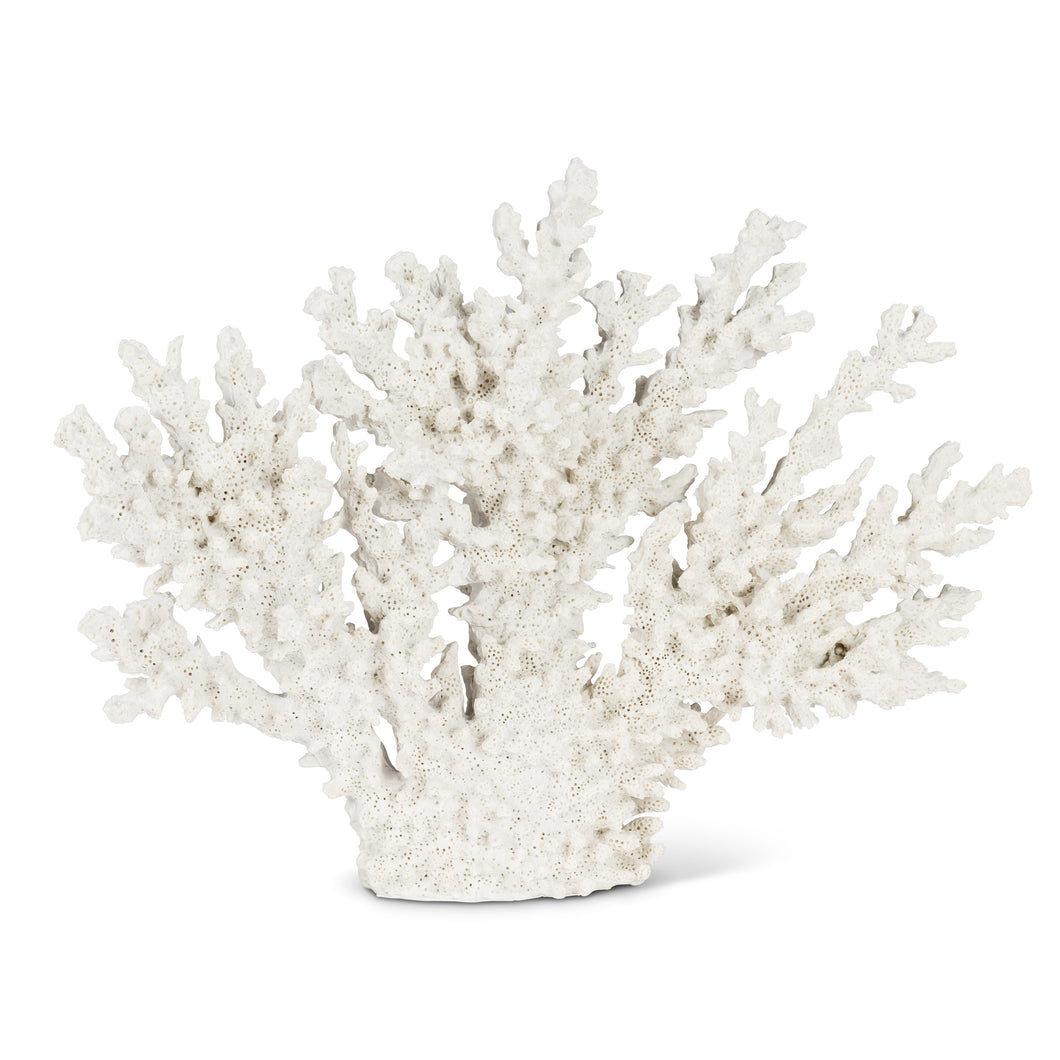 Fan Shaped Coral